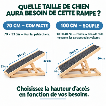 Rampe Anti-Hernie pour Chiens